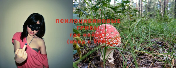 твердый Волоколамск