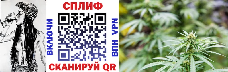 сайты даркнета состав Динская Бошки Шишки SATIVA & INDICA
